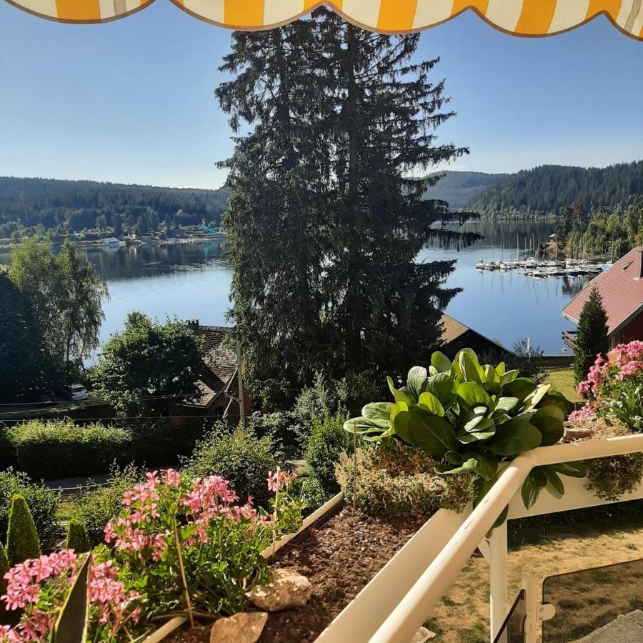 Sunside Ferien Wellness Oase Hotel Apartment'S Schwarzwald Am Шлухзе Екстер'єр фото